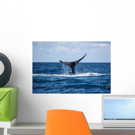 Humpback Whale Raises Its Wall Decal Design 1
