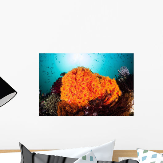 Bright Orange Cup Corals Wall Decal