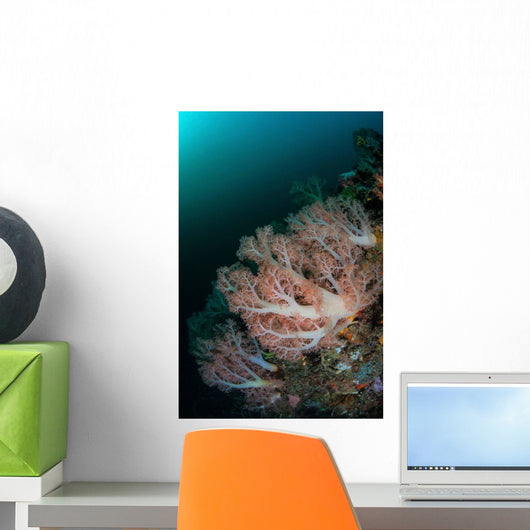 Beautiful Soft Corals Grow Wall Decal