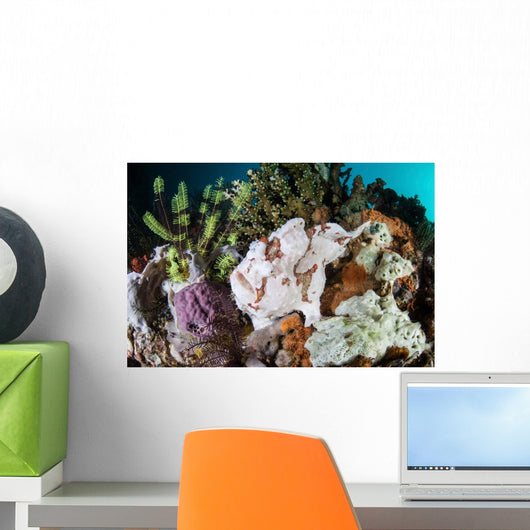 Giant Frogfish Blends into Wall Decal Design 3