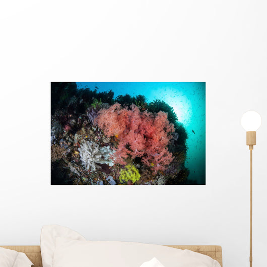 Soft Corals and Invertebrates Wall Decal Design 3
