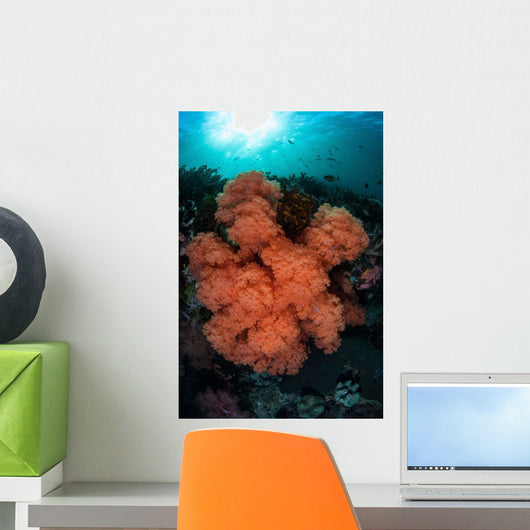 Soft Corals and Invertebrates Wall Decal Design 1