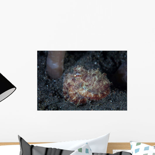 Small Octopus Sits Camouflaged Wall Decal