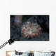 Small Octopus Sits Camouflaged Wall Decal
