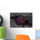 Coconut Octopus Crawls across Wall Decal