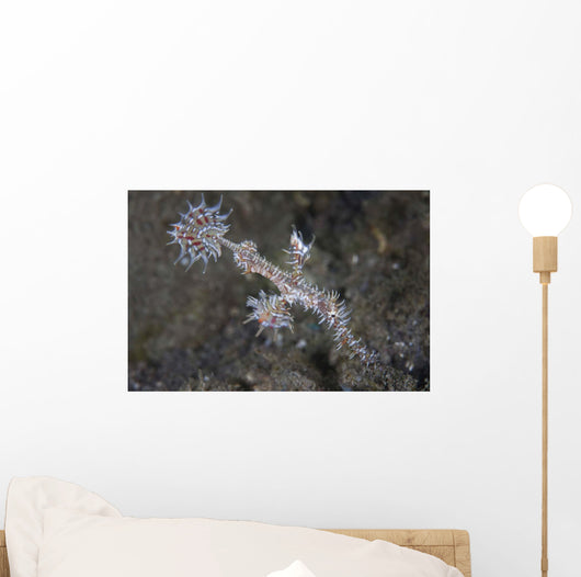 Ornate Ghost Pipefish Komodo Wall Decal