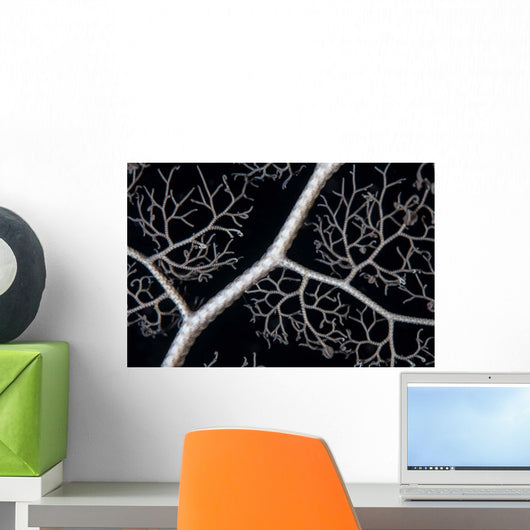 Detail Giant Basket Star Wall Decal