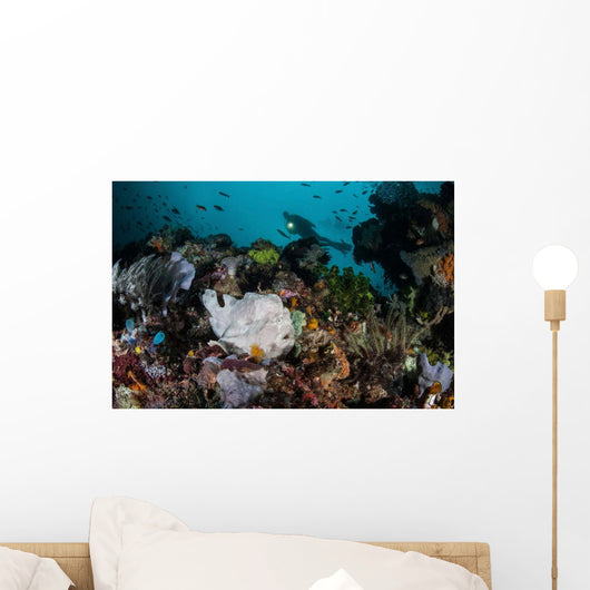 Giant Frogfish Blends into Wall Decal Design 2