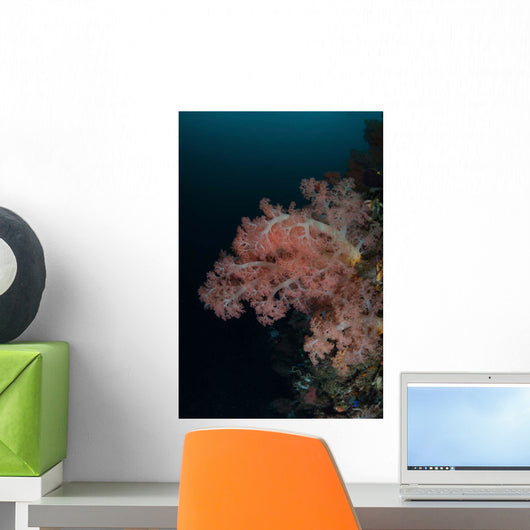 Vibrant Soft Corals Thrive Wall Decal Design 7