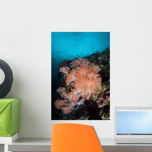 Vibrant Soft Corals Thrive Wall Decal Design 5