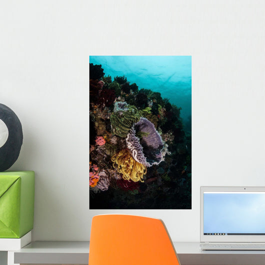 Colorful Crinoids and Sponges Wall Decal