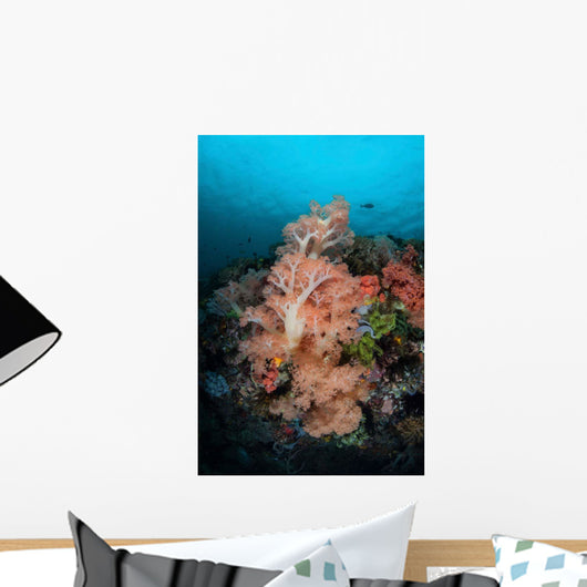 Vibrant Soft Corals Thrive Wall Decal Design 4