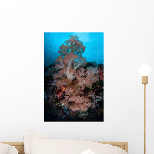Vibrant Soft Corals Thrive Wall Decal Design 3