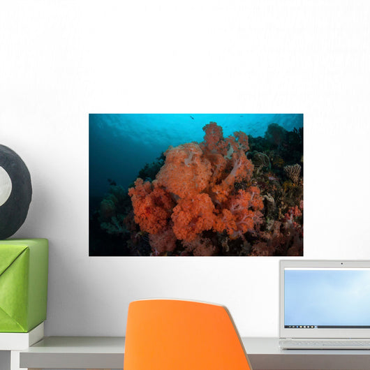 Vibrant Soft Corals Thrive Wall Decal Design 2