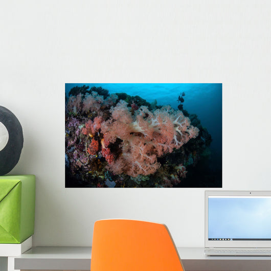 Vibrant Soft Corals Thrive Wall Decal Design 1
