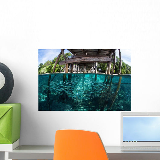 School Silversides beneath Wooden Wall Decal
