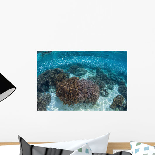 School Silversides Swim above Wall Decal