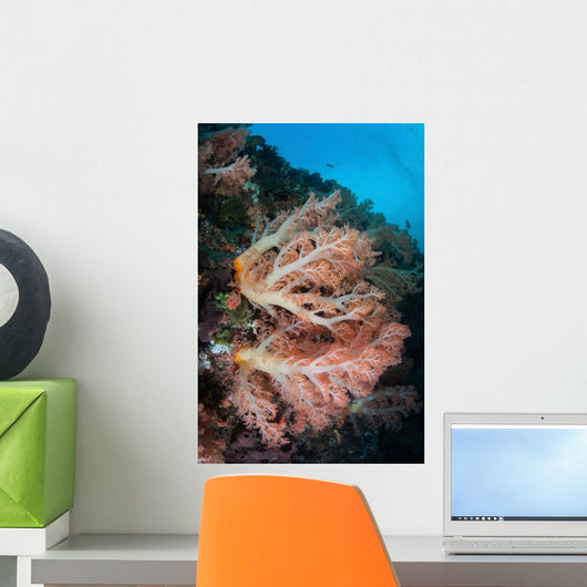 Soft Coral Colony Grows Wall Decal Design 6