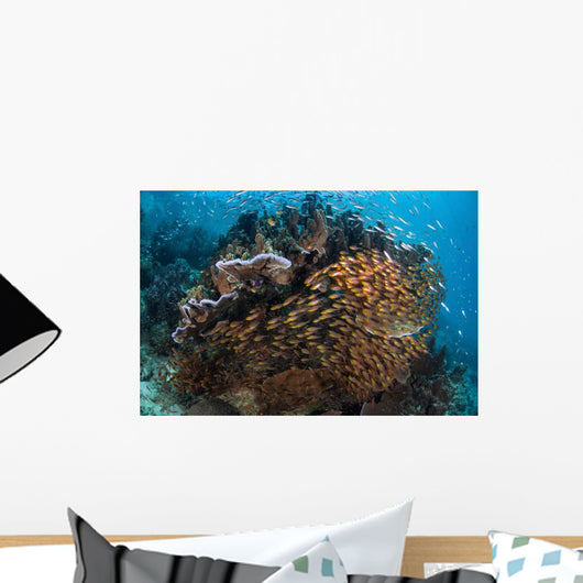 Golden Sweepers Swim under Wall Decal Design 6