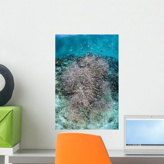 Juvenile Fish Swarm around Wall Decal Design 2