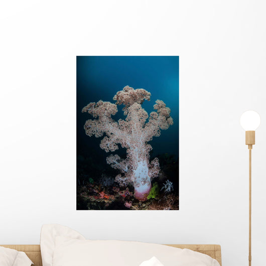 Soft Coral Colony Grows Wall Decal Design 5