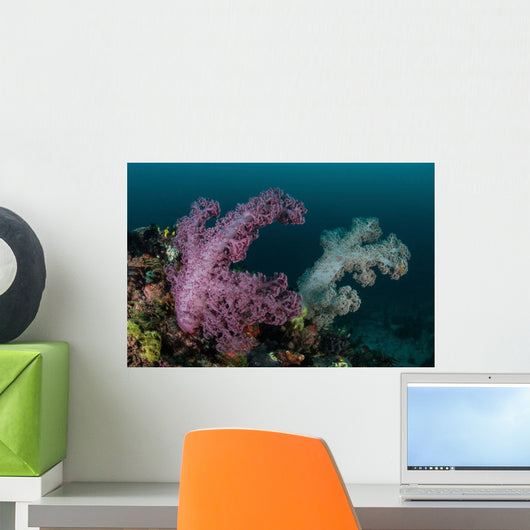 Soft Coral Colony Grows Wall Decal Design 4