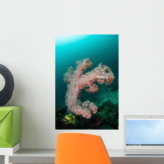 Soft Coral Colony Grows Wall Decal Design 3