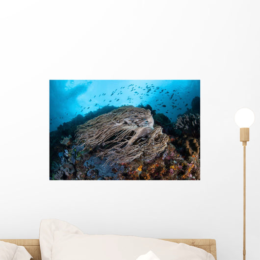 Strong Current Sweeps along Wall Decal