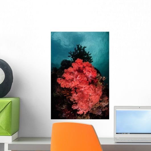 Soft Coral Colony Grows Wall Decal Design 2