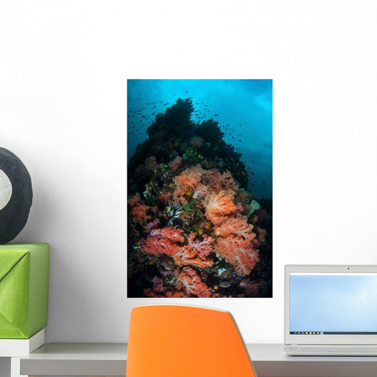 Beautiful Soft Coral Colonies Wall Decal Design 2