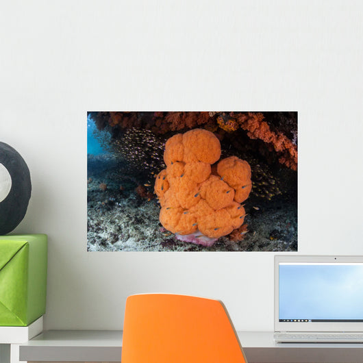 Soft Coral Colony Grows Wall Decal Design 1