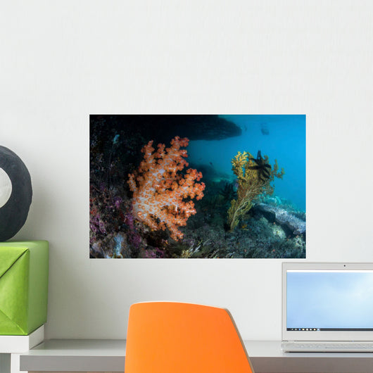 Soft Coral Colony and Wall Decal Design 2