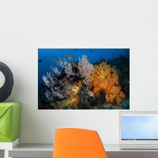 Soft Coral Colonies and Wall Decal