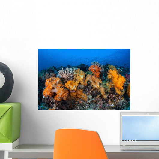 Beautiful Soft Coral Colonies Wall Decal Design 1