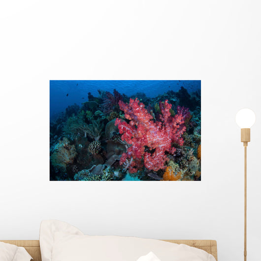Beautiful Soft Coral Colony Wall Decal