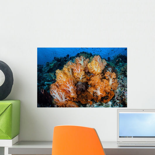 Beautiful Cluster Soft Coral Wall Decal Design 5