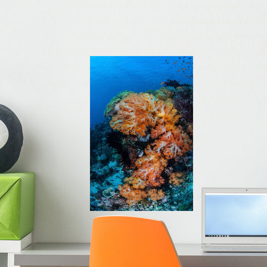 Beautiful Cluster Soft Coral Wall Decal Design 4