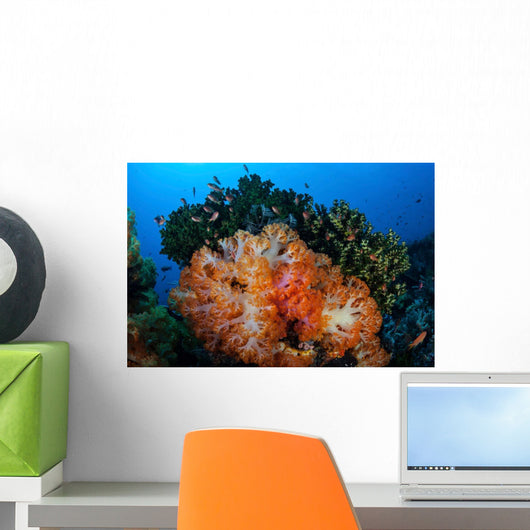 Beautiful Cluster Soft Coral Wall Decal Design 3