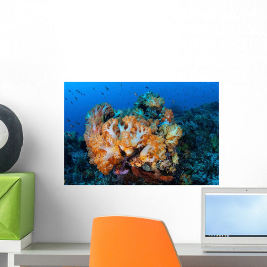 Beautiful Cluster Soft Coral Wall Decal Design 2