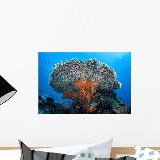 Soft Corals Grow beneath Wall Decal