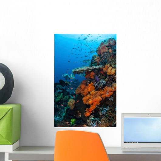 Soft and Hard Corals Wall Decal