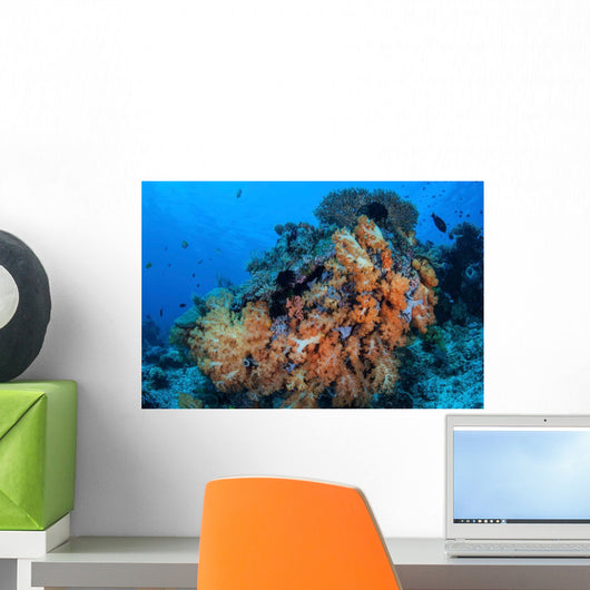 Soft Coral Colonies Thrive Wall Decal
