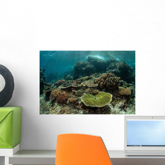 Healthy Reef-building Corals Thrive Wall Decal Design 5