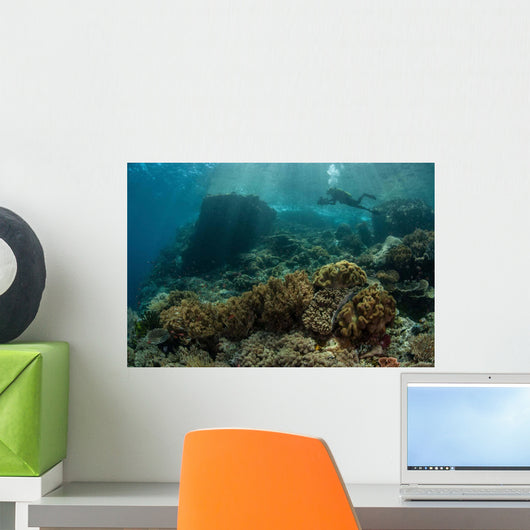 Scuba Diver Swims above Wall Decal Design 2