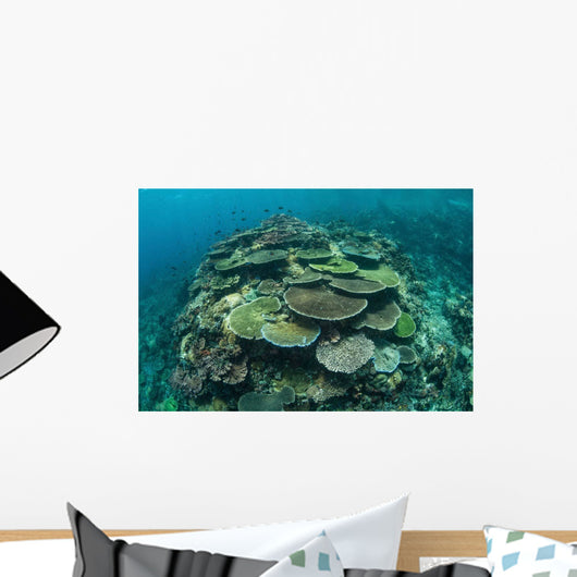 Healthy Reef-building Corals Thrive Wall Decal Design 3