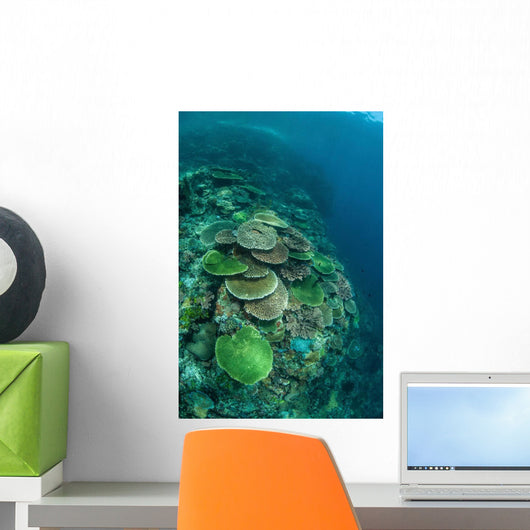 Healthy Reef-building Corals Thrive Wall Decal Design 2