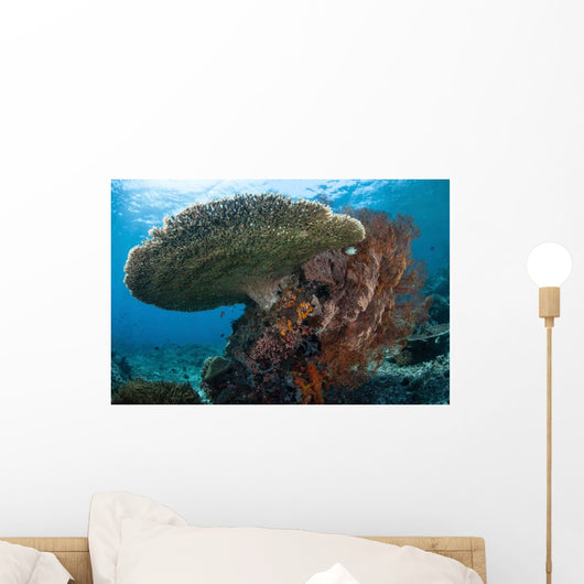 Beautiful Coral Reef Thrives Wall Decal Design 3