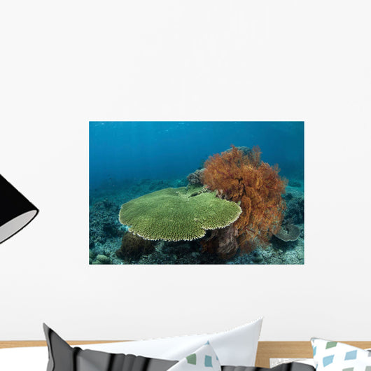 Beautiful Coral Reef Thrives Wall Decal Design 2