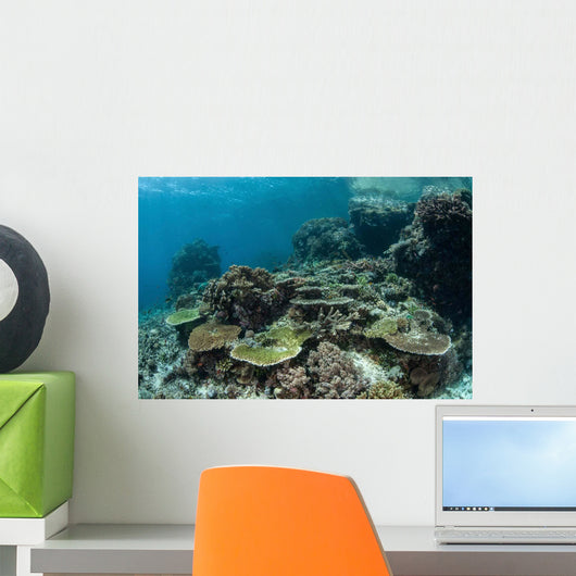Healthy Coral Reef Thrives Wall Decal Design 2