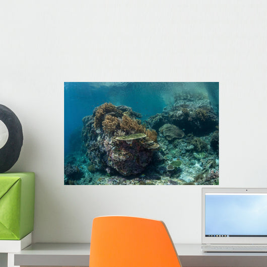 Healthy Coral Reef Thrives Wall Decal Design 1
